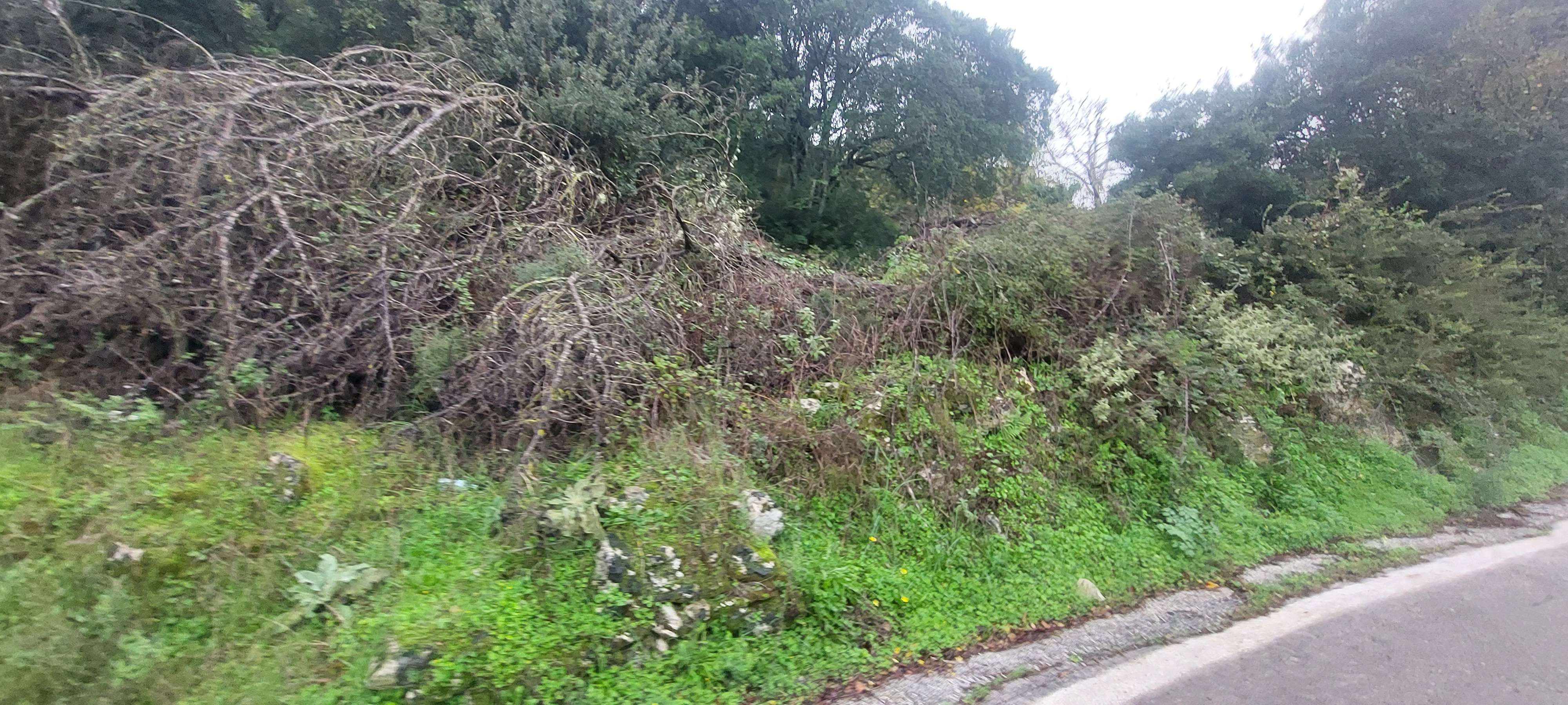 photo2