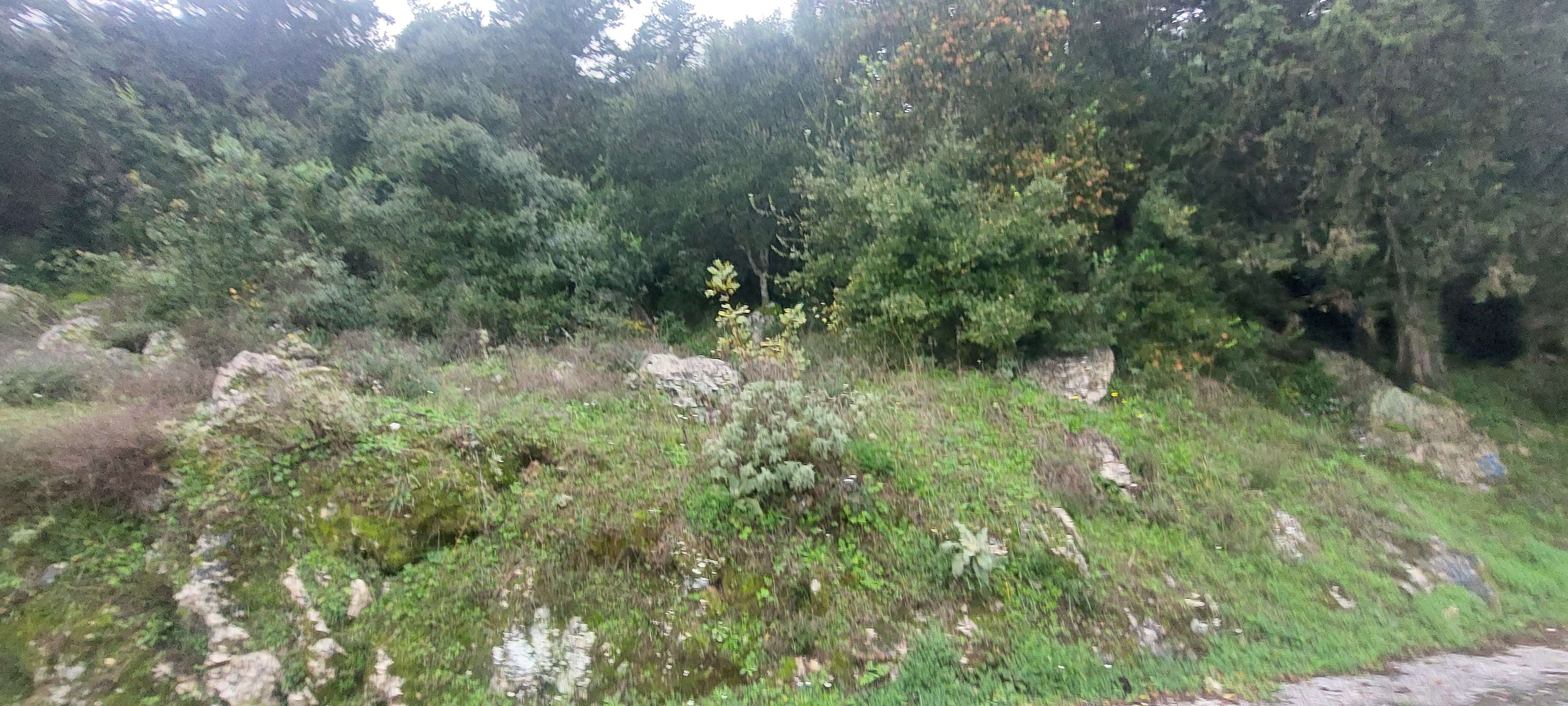 photo3