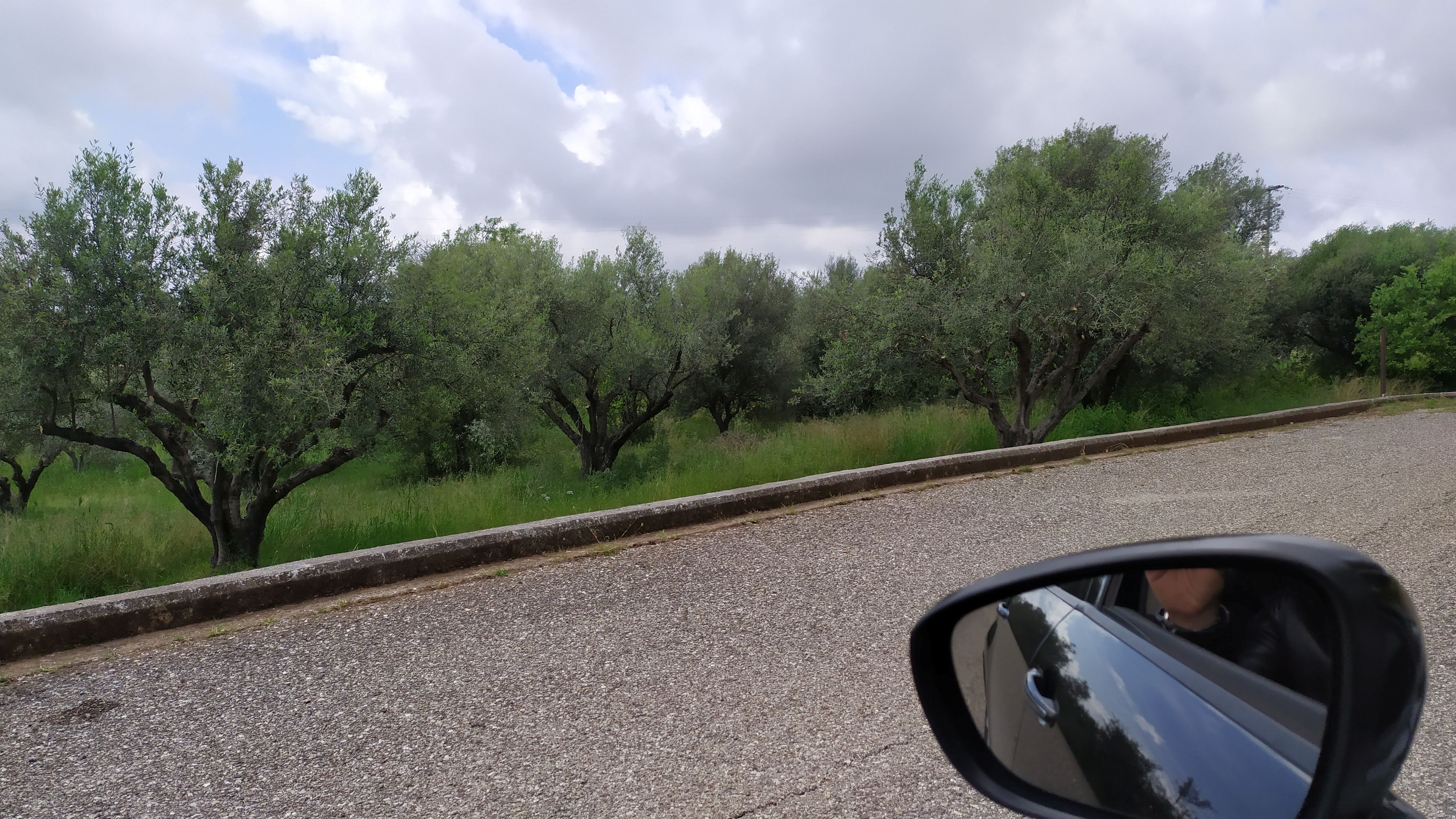 photo3