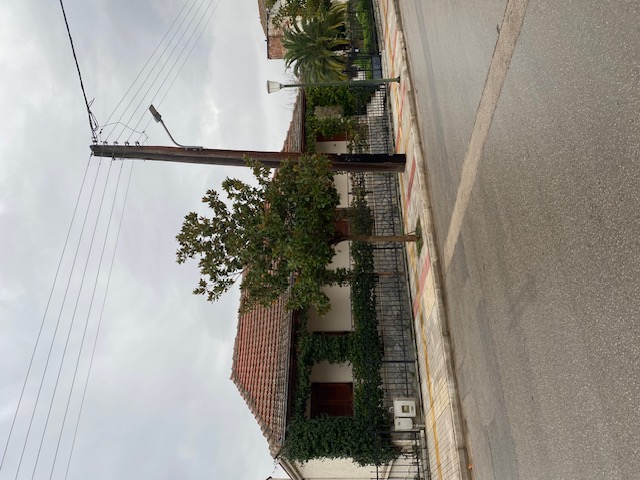 photo1