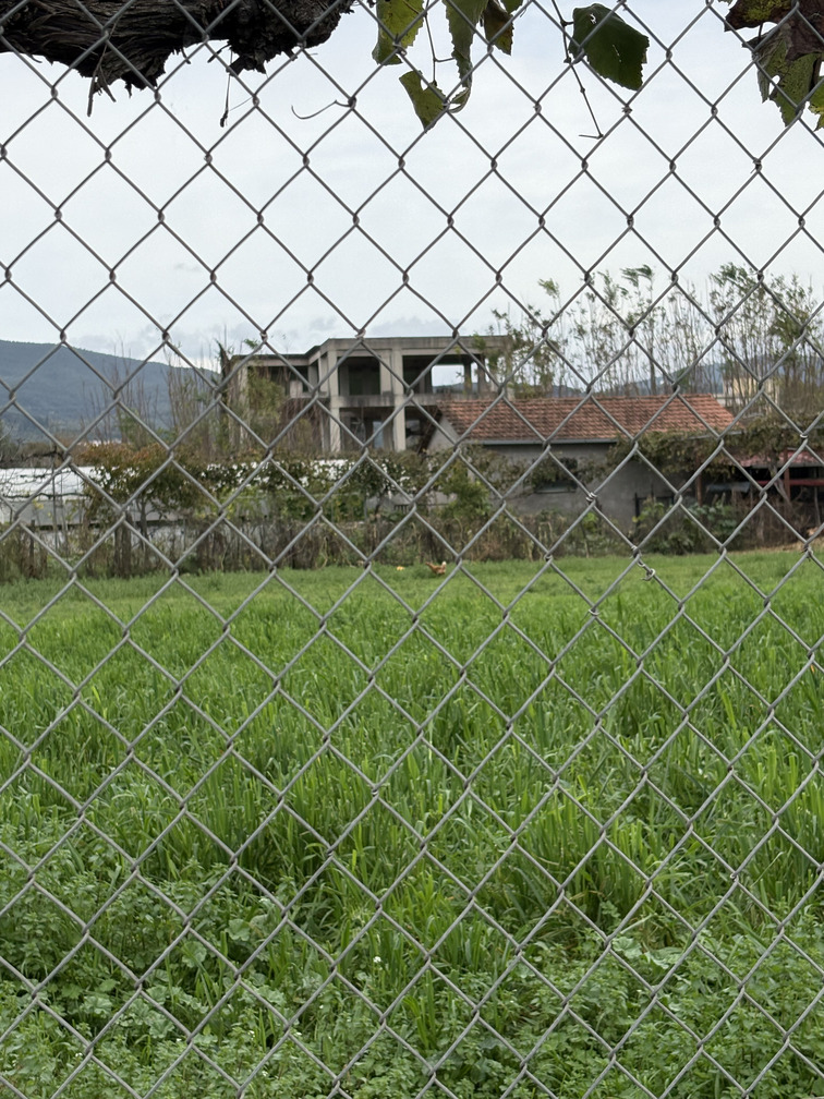 photo2