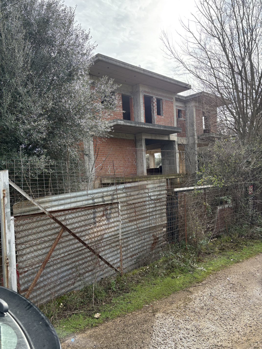 photo1