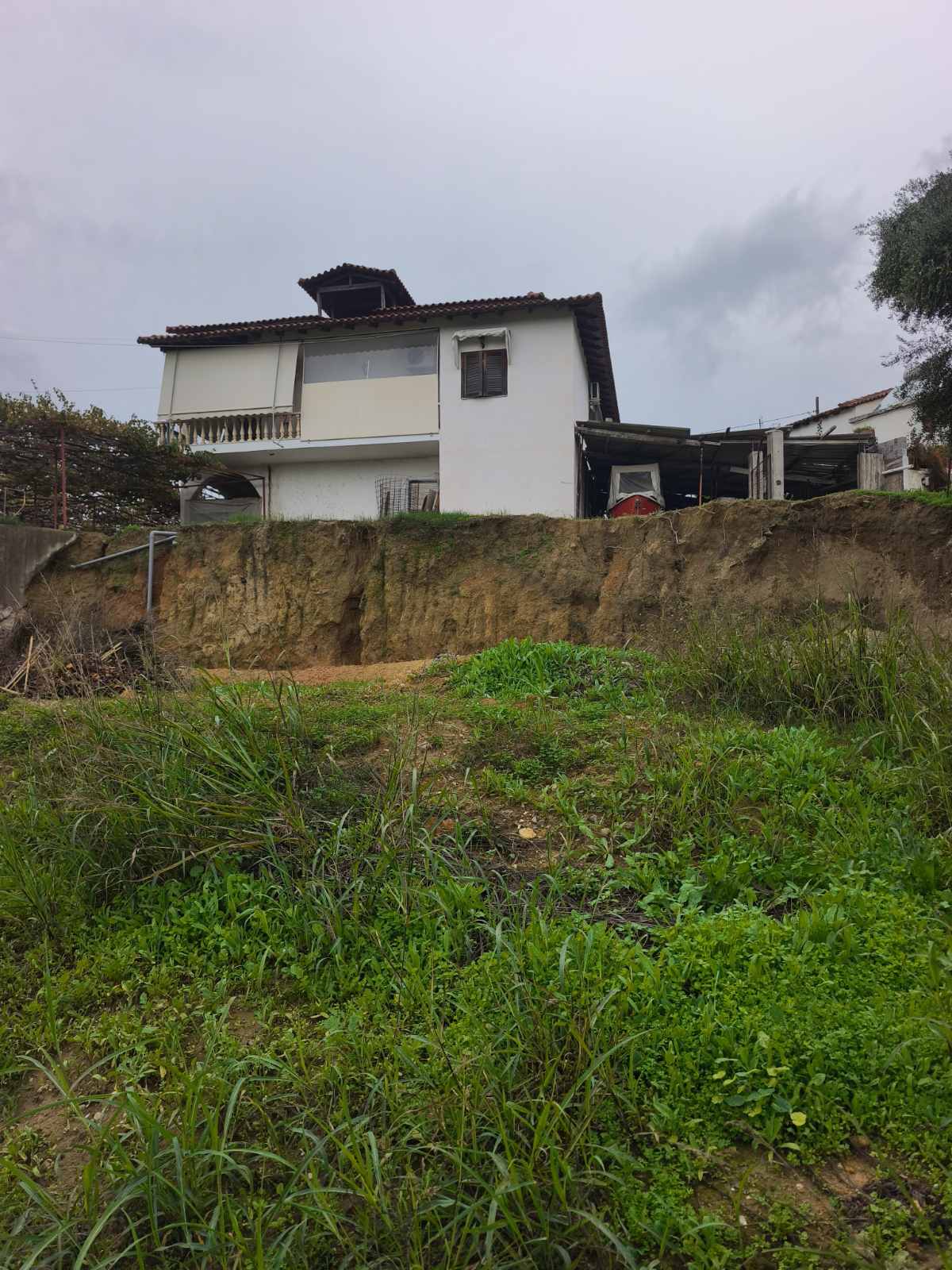 photo2