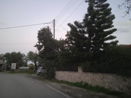 photo2