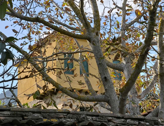 Κατοικία  σε πλειστηριασμό Δήμος Λέσβου