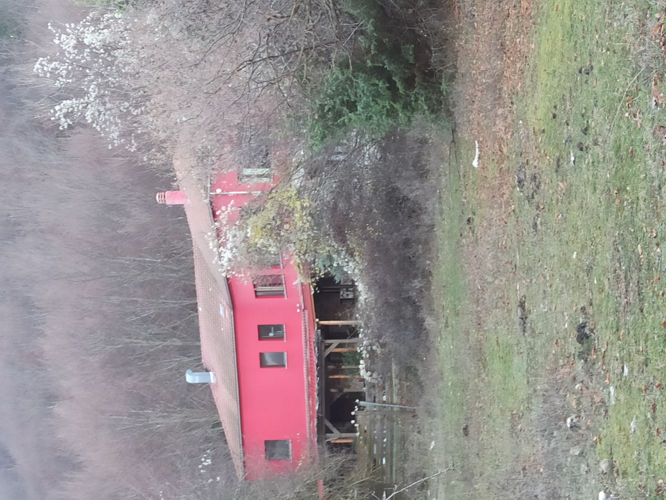 photo2
