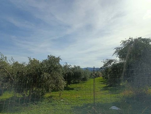 photo1
