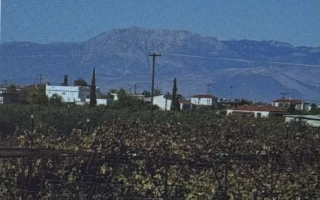 photo3