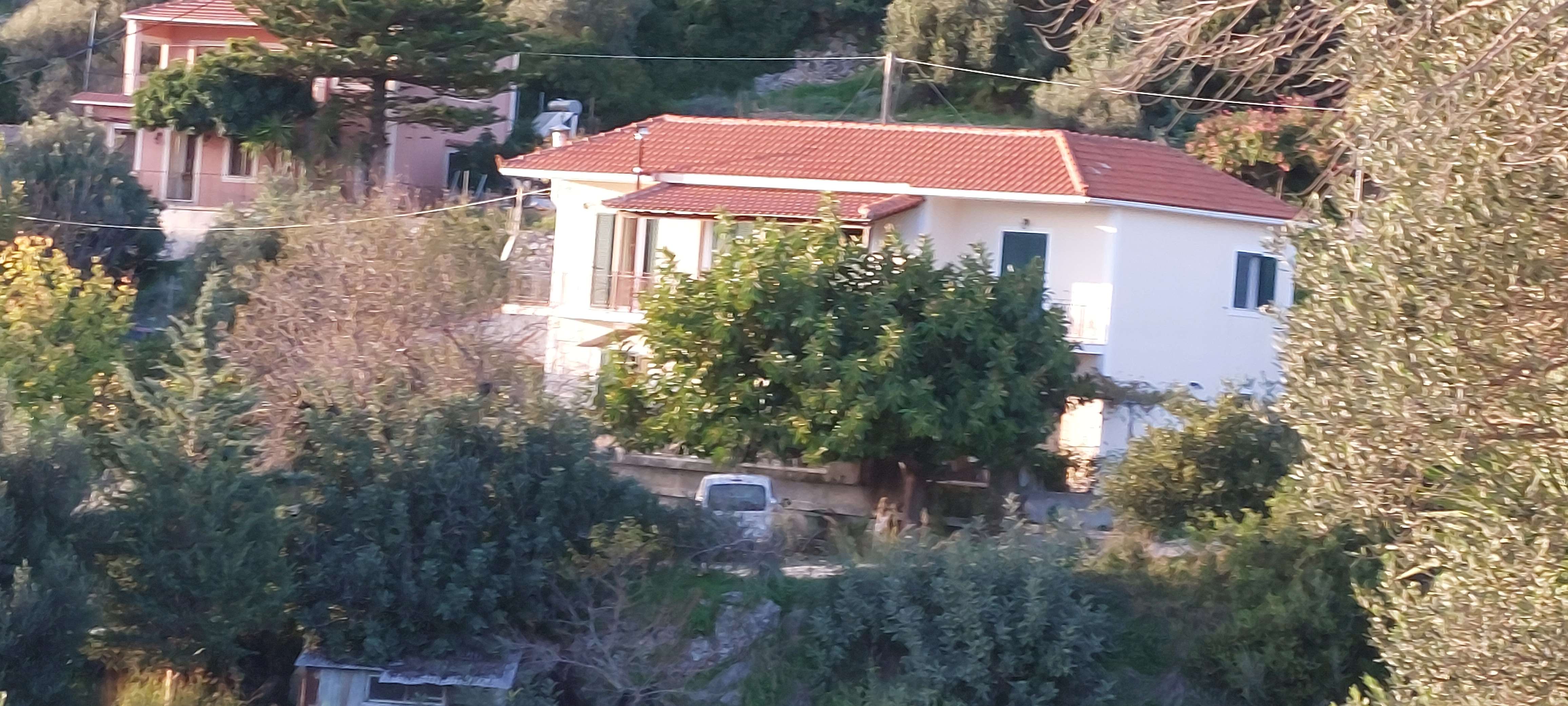 photo1