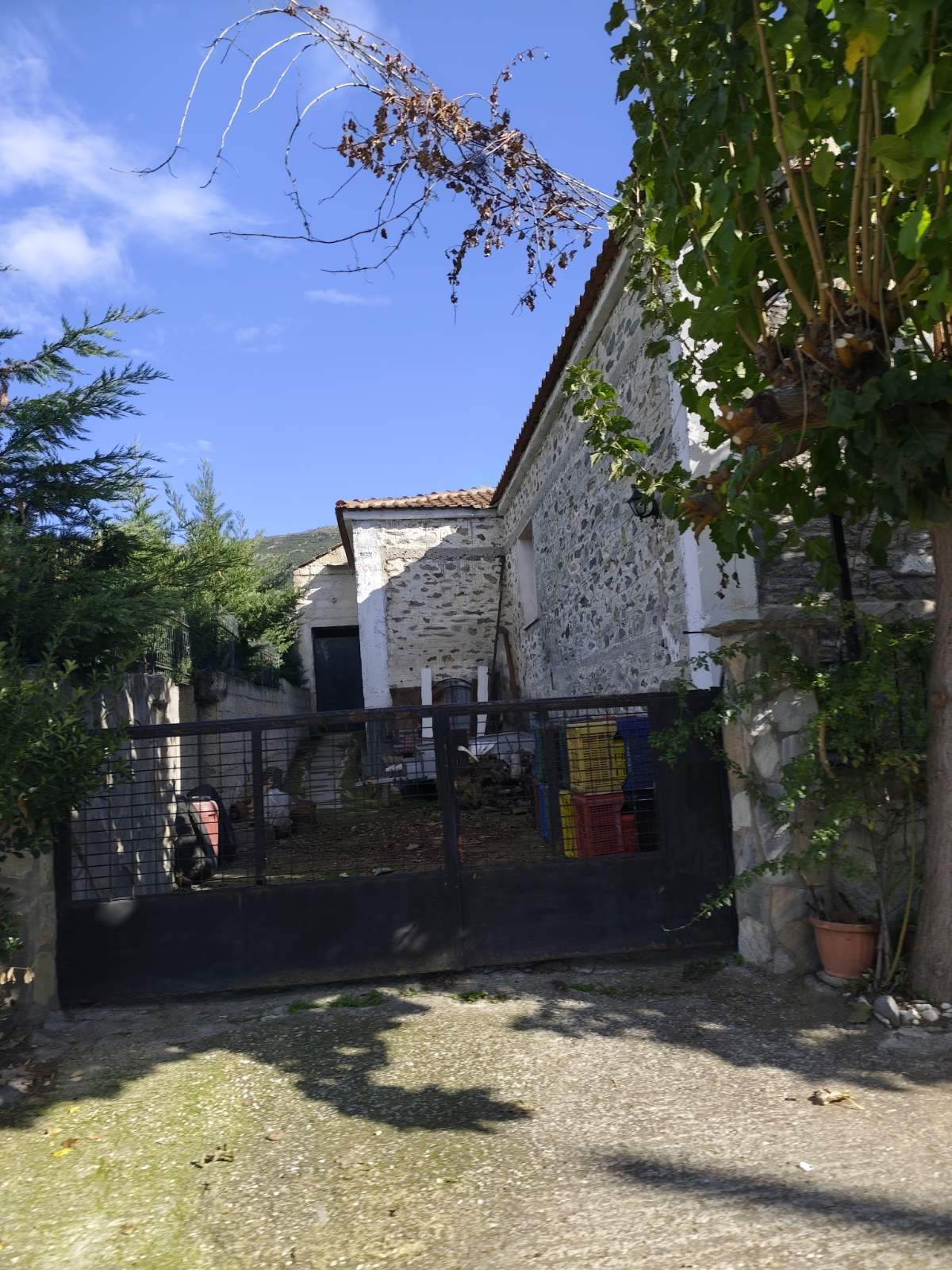 photo3