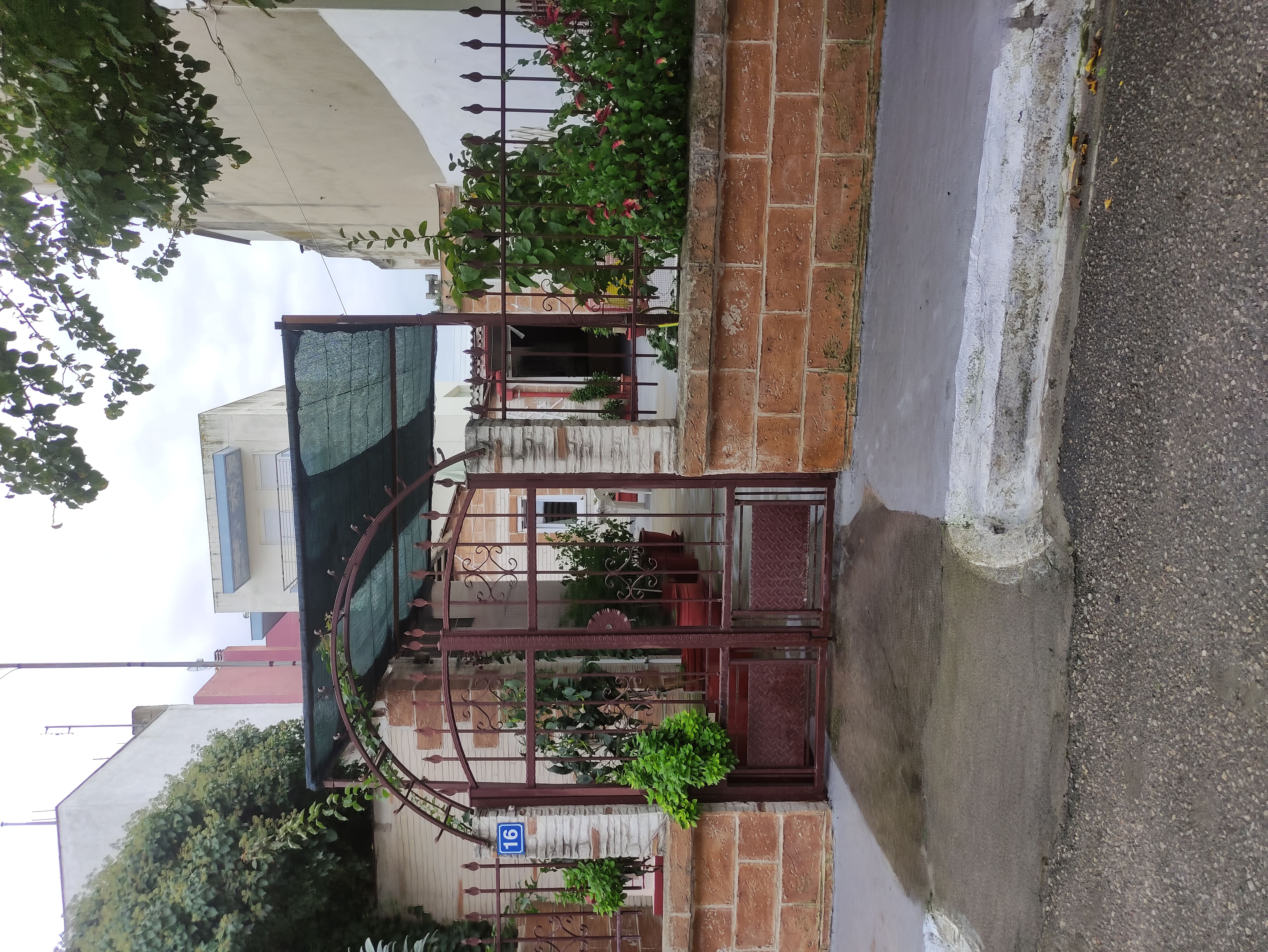 photo1