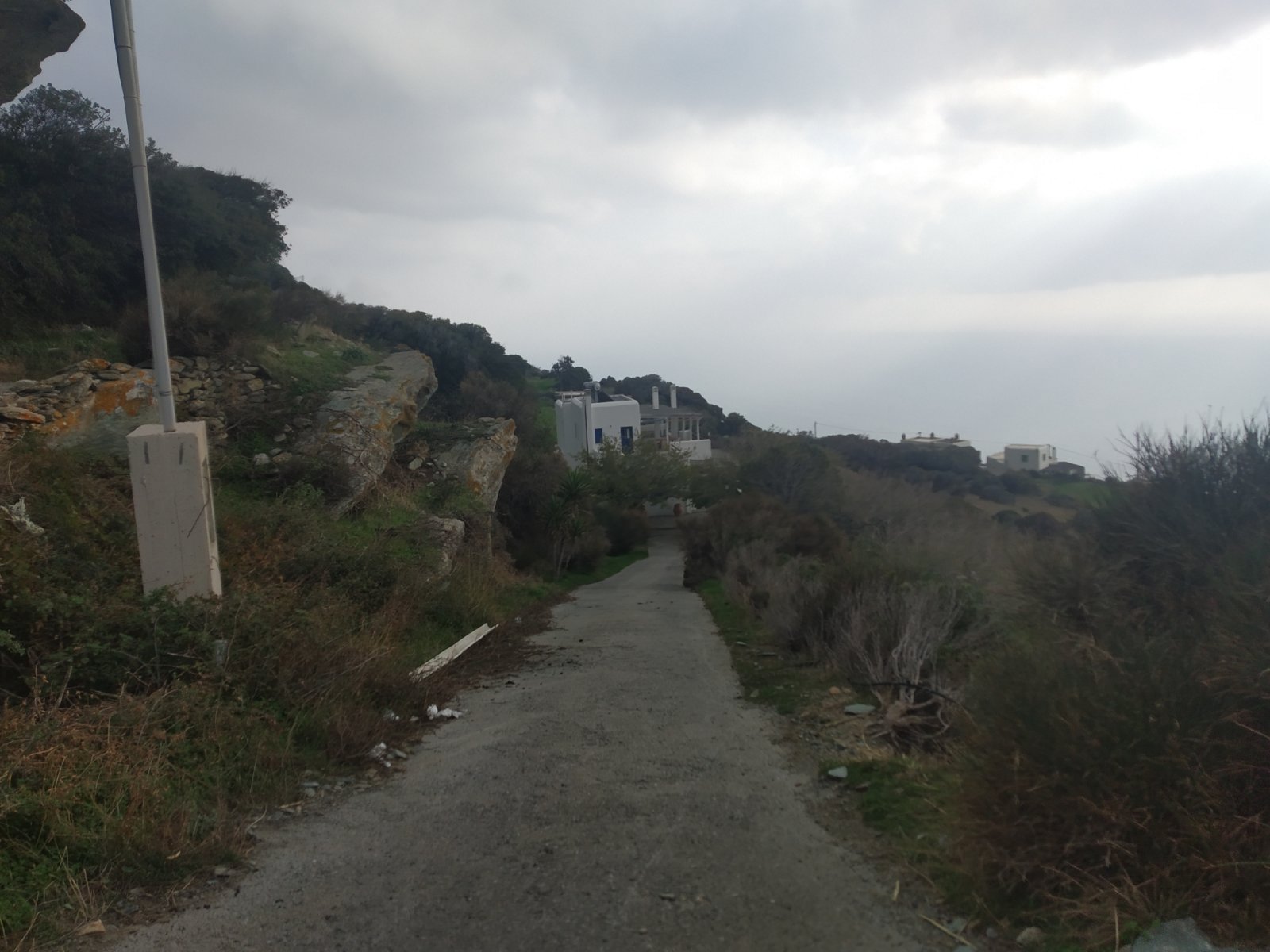 photo0
