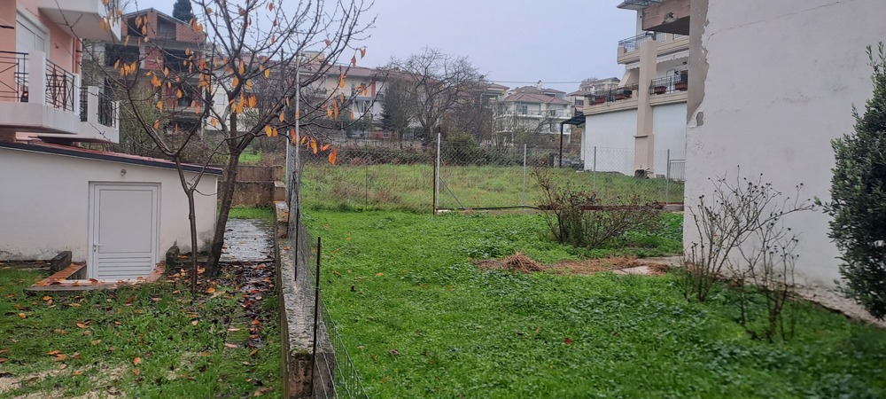 photo1