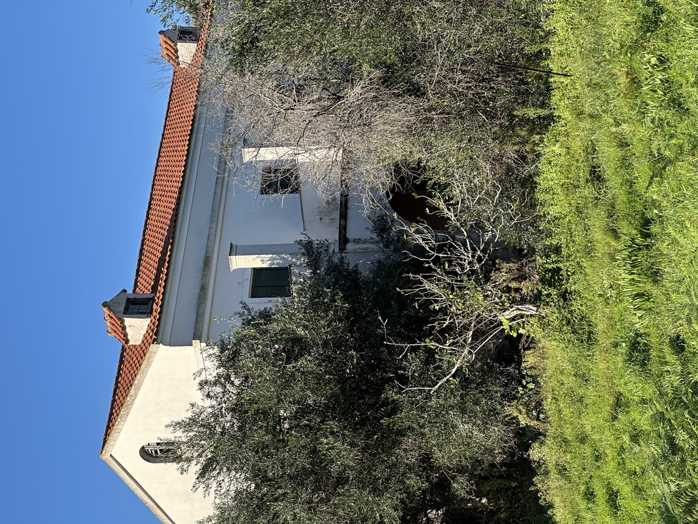 photo1