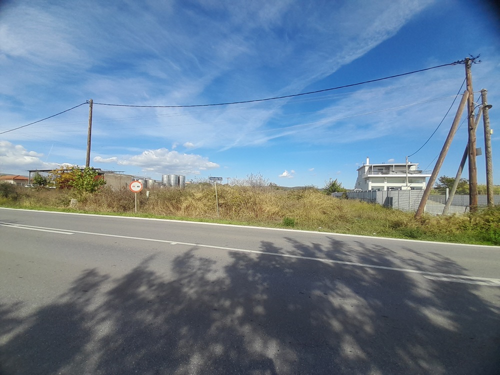 photo1