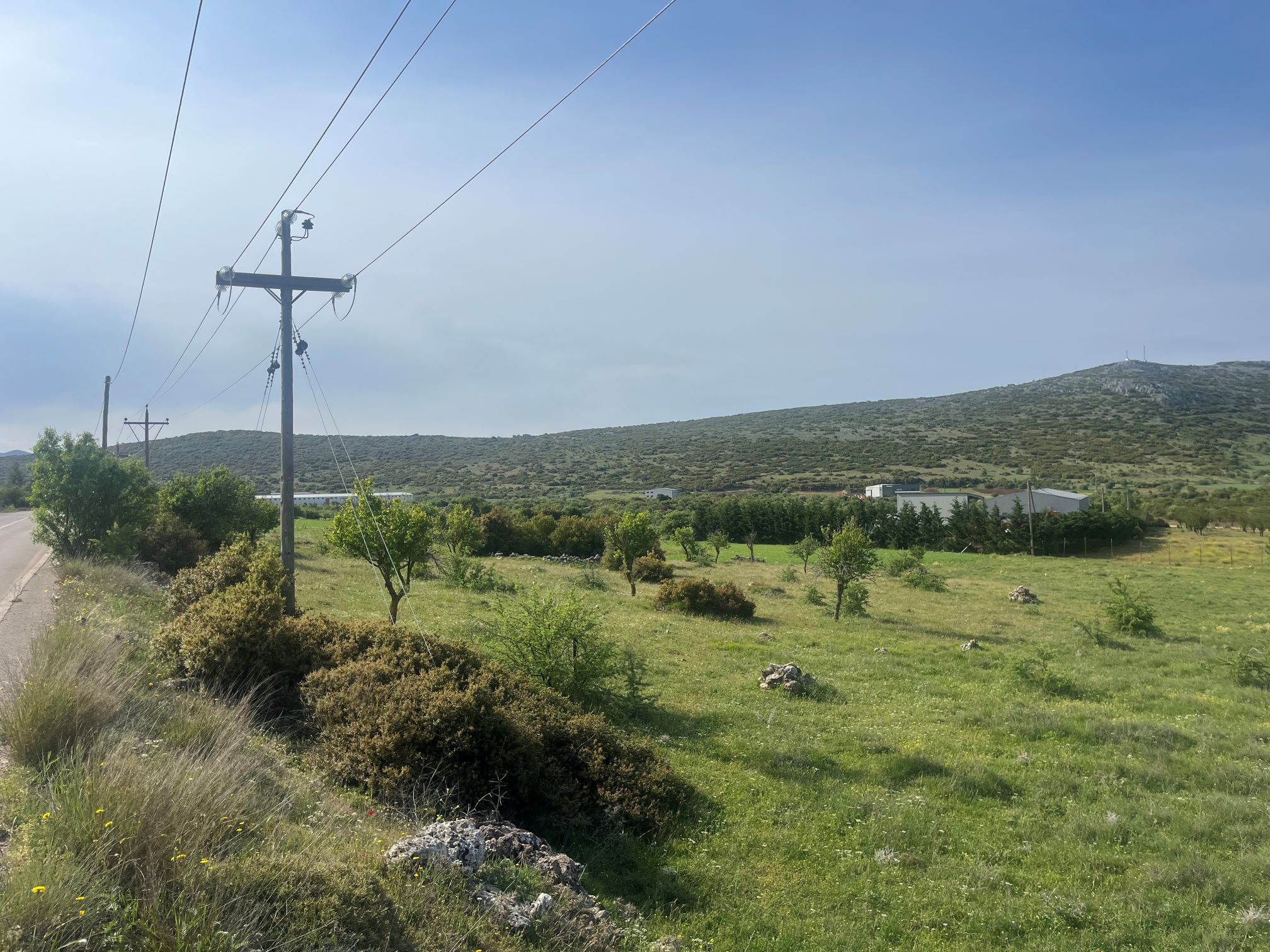 Αγροτεμάχιο  σε πλειστηριασμό Δήμος Τανάγρας
