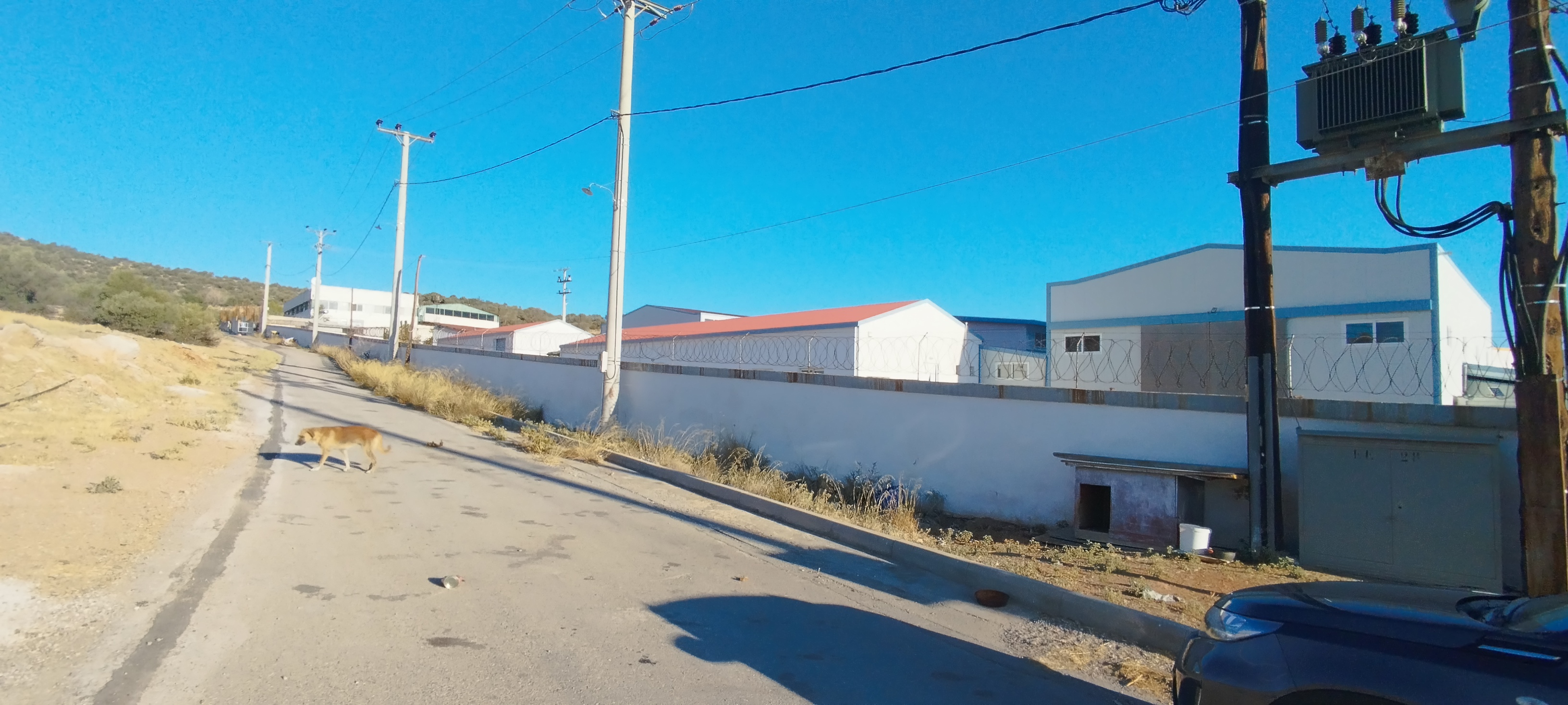 Αγροτεμάχιο με κτίσμα  σε πλειστηριασμό Δήμος Μάνδρας - Ειδυλλίας