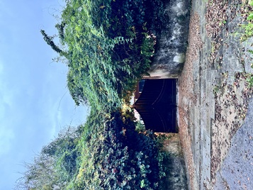 Οικόπεδο με κτίσμα  σε πλειστηριασμό Δήμος Κέρκυρας