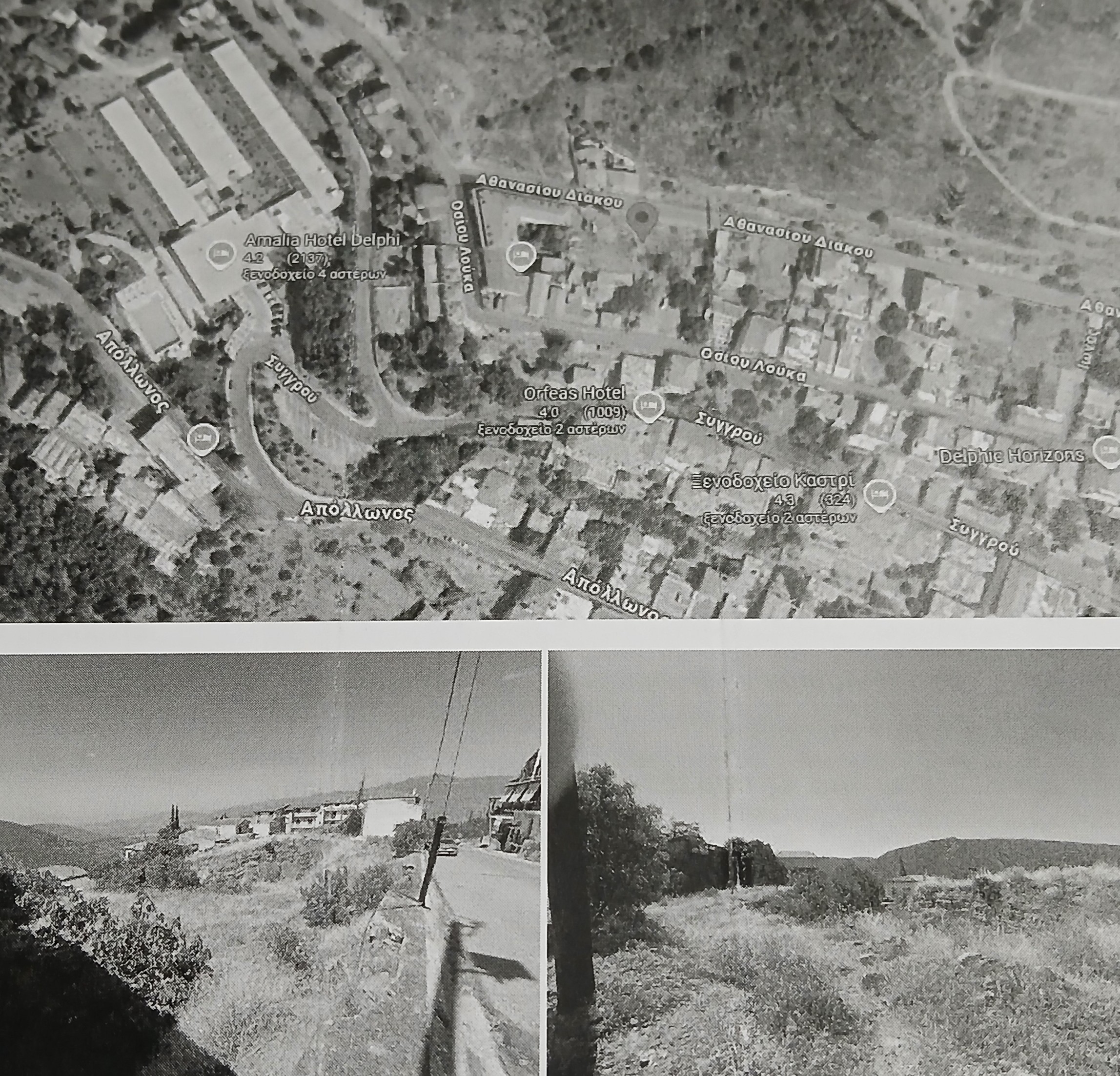 Οικόπεδο  σε πλειστηριασμό Δήμος Δελφών