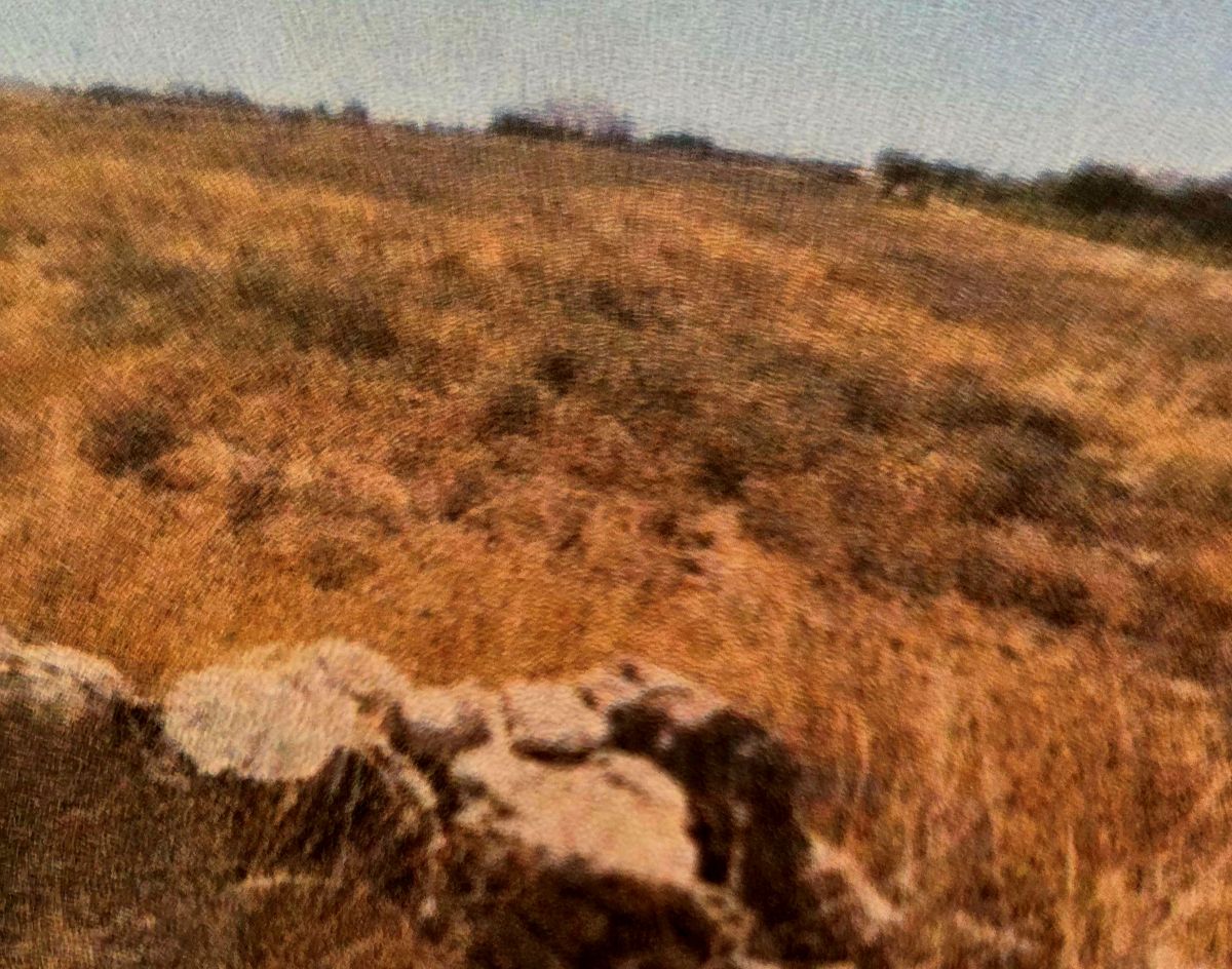 Αγροτεμάχιο  σε πλειστηριασμό Δήμος Πάρου