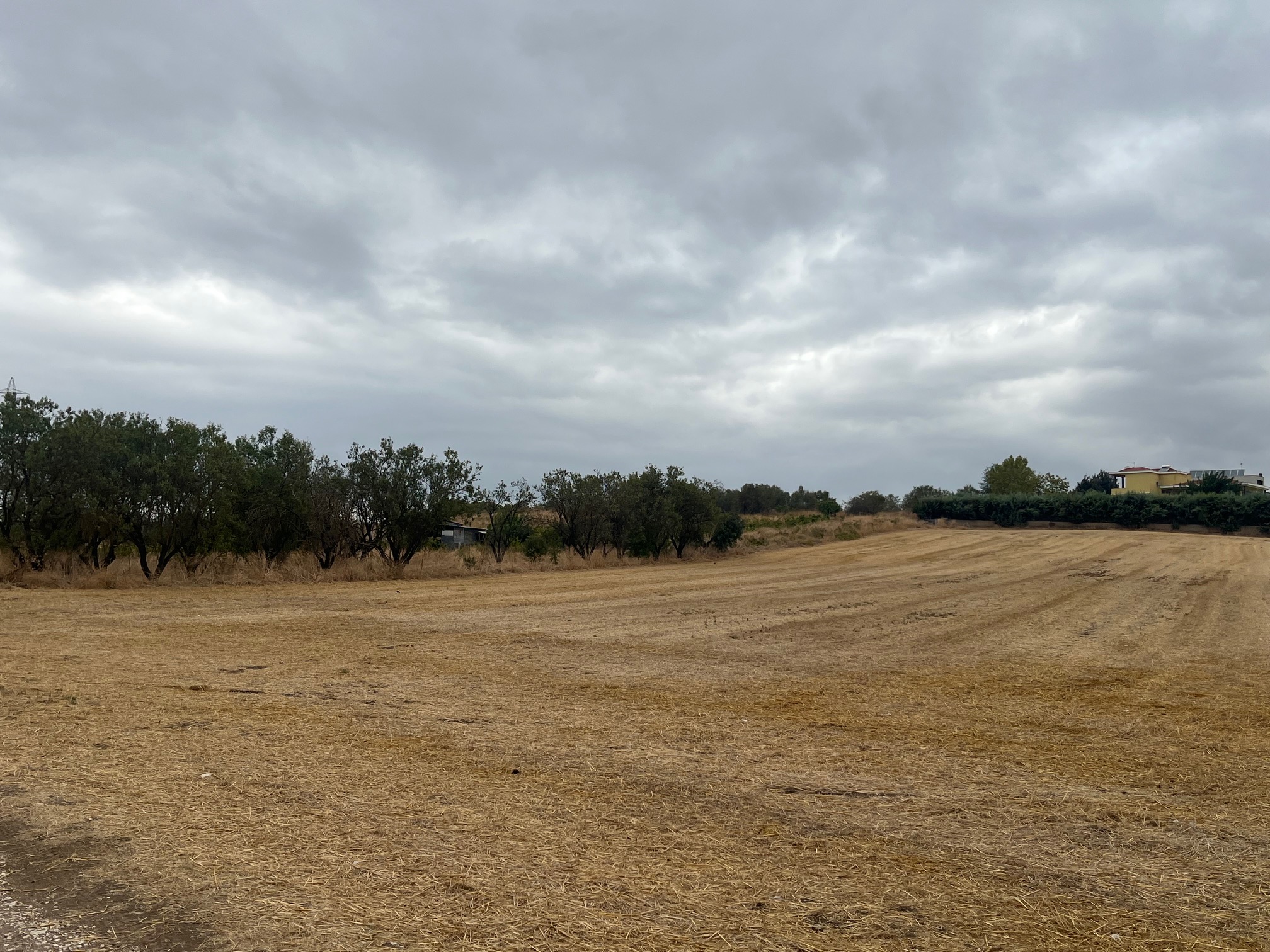 Αγροτεμάχιο 937 τ.μ. σε πλειστηριασμό Δήμος Λαρισαίων