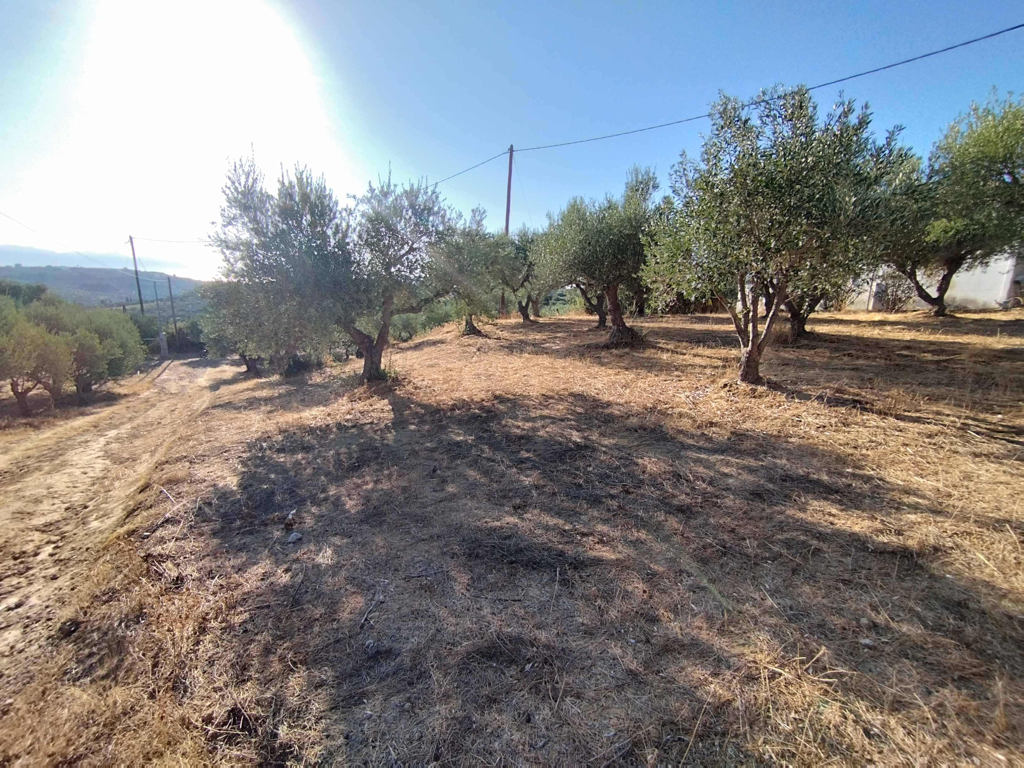 Οικόπεδο  σε πλειστηριασμό Δήμος Πύλου - Νέστορος