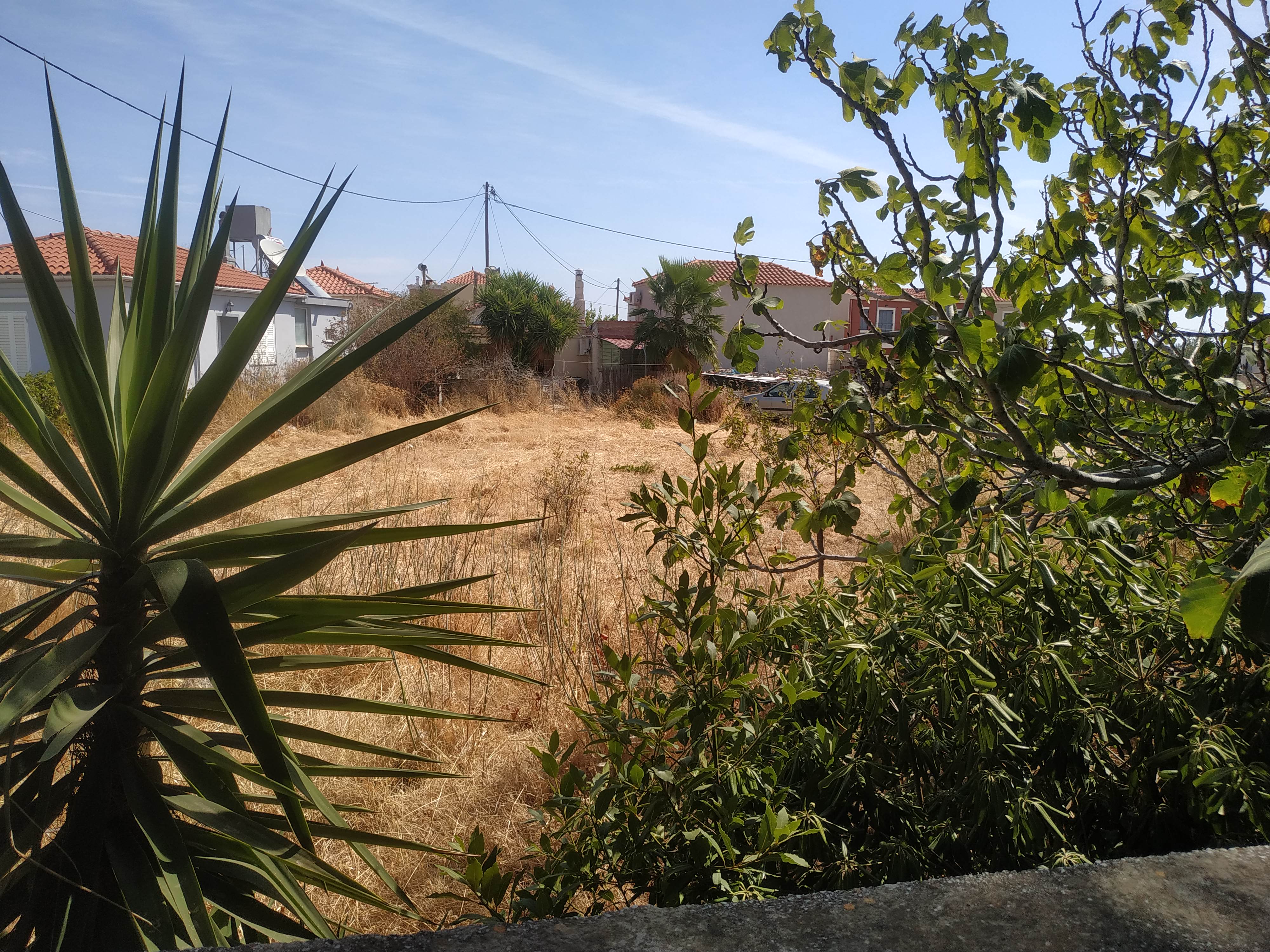 Οικόπεδο 746.29 τ.μ. σε πλειστηριασμό Δήμος Λέσβου