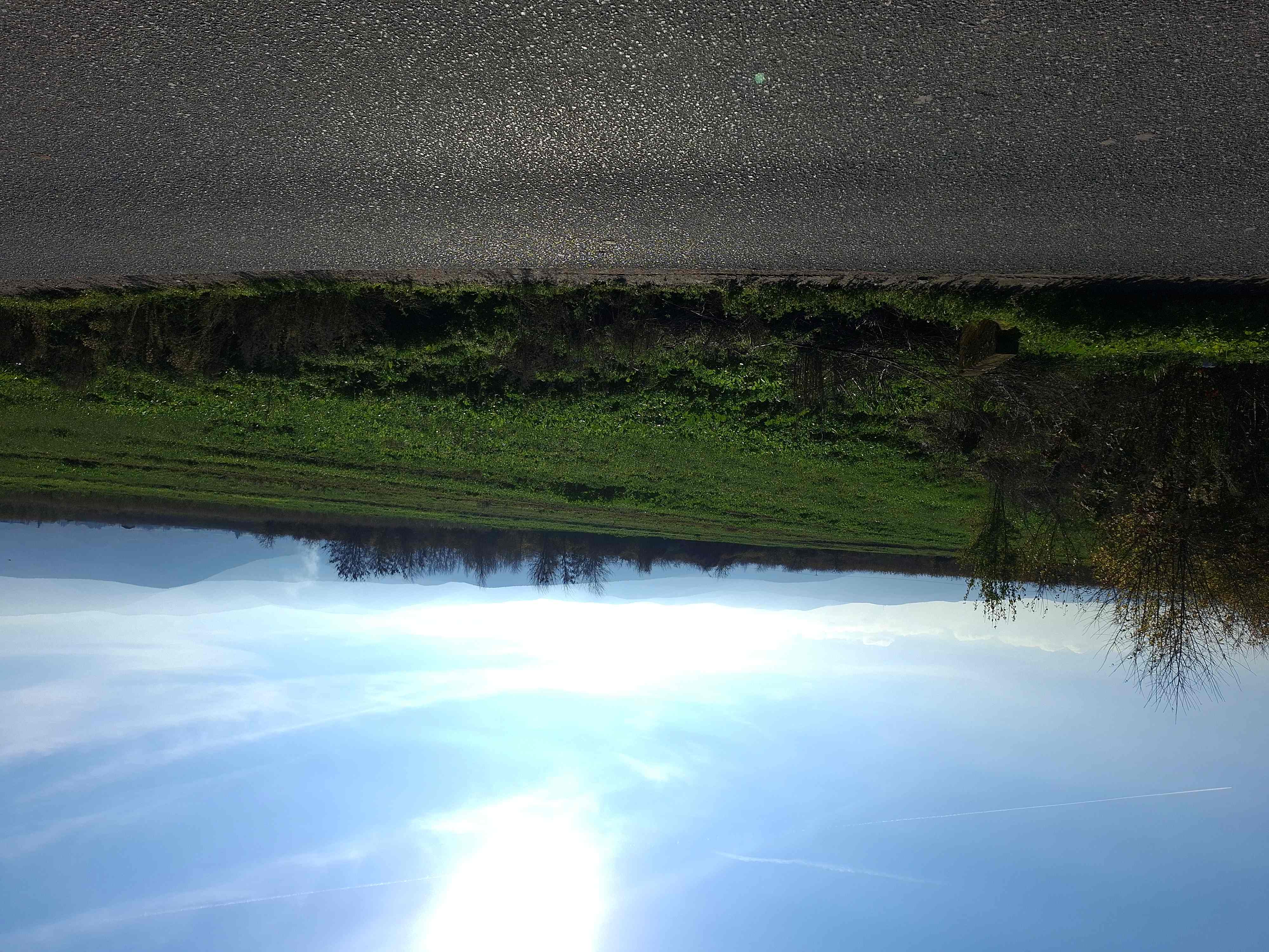 photo1