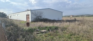 photo5