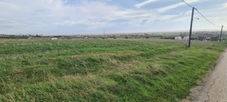 photo1