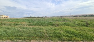 photo2