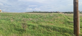 photo3