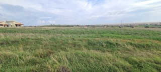 photo5