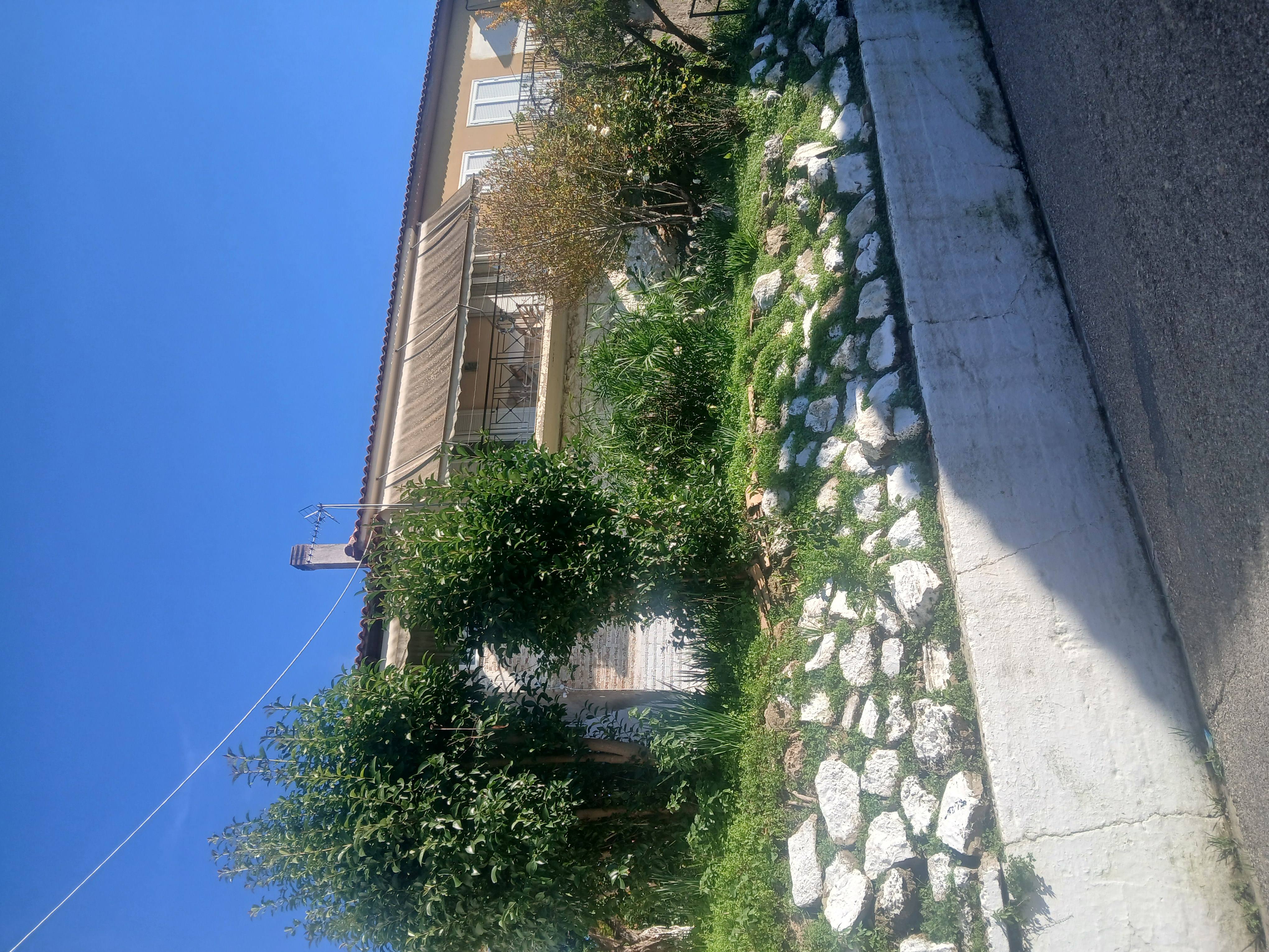 photo3