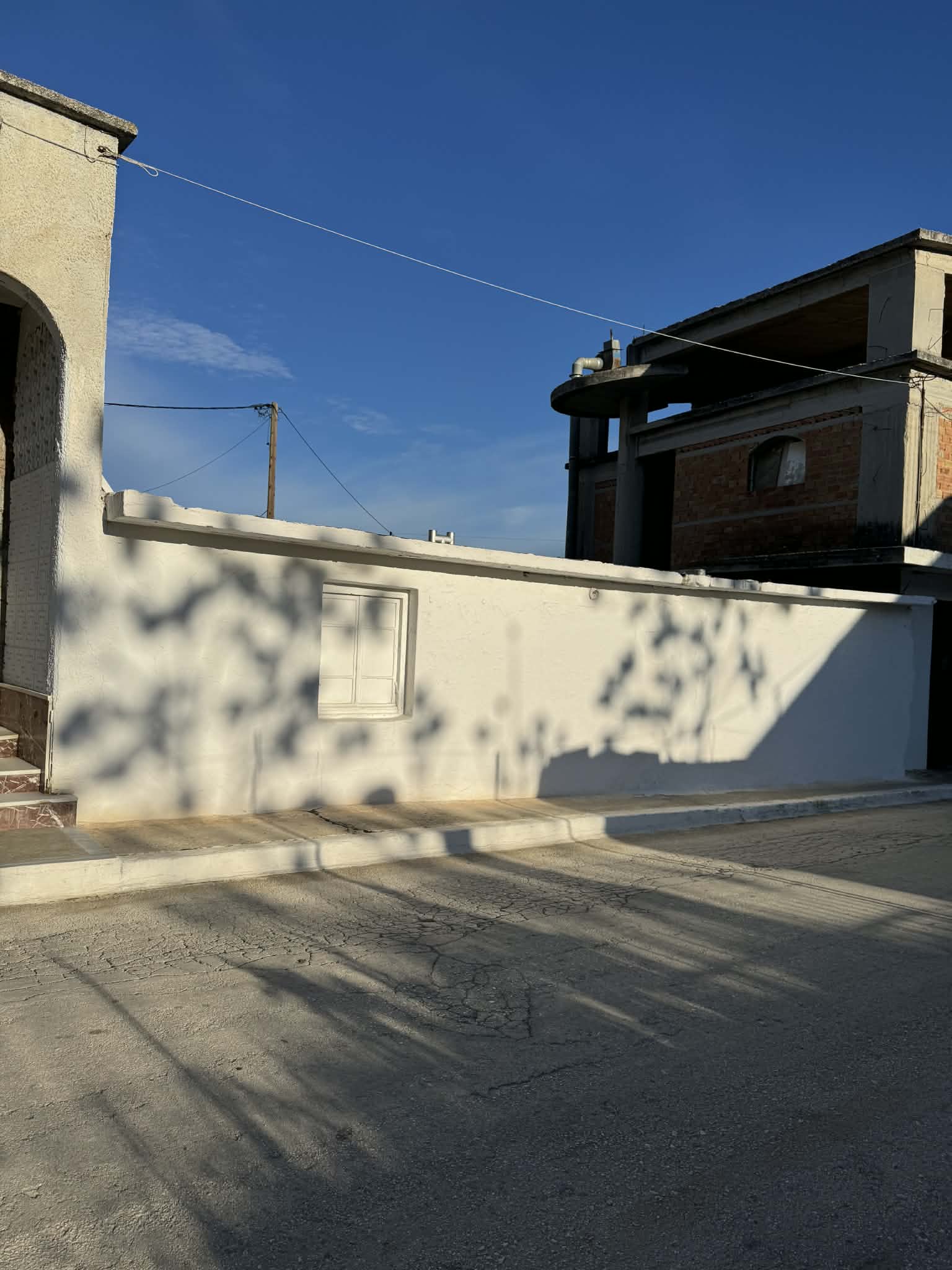photo1