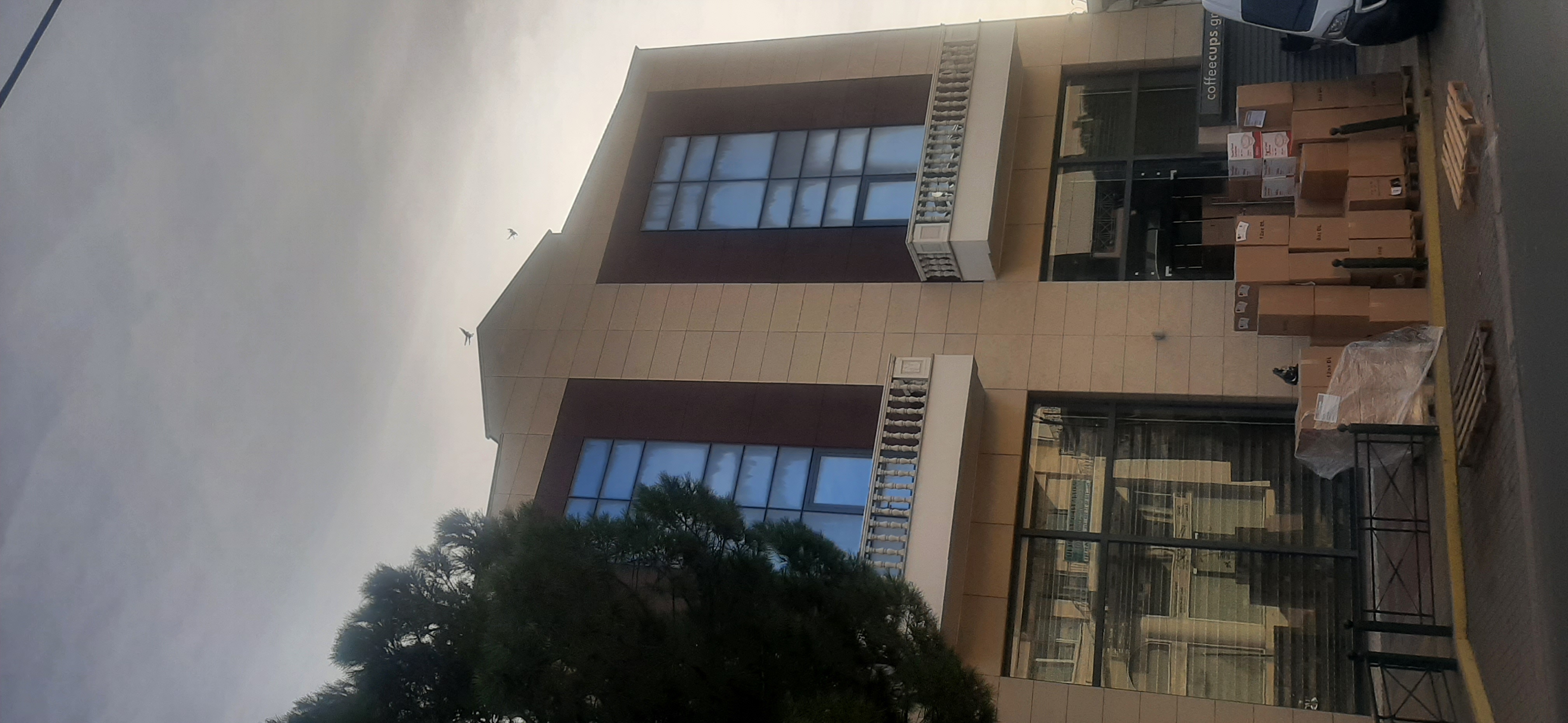photo1