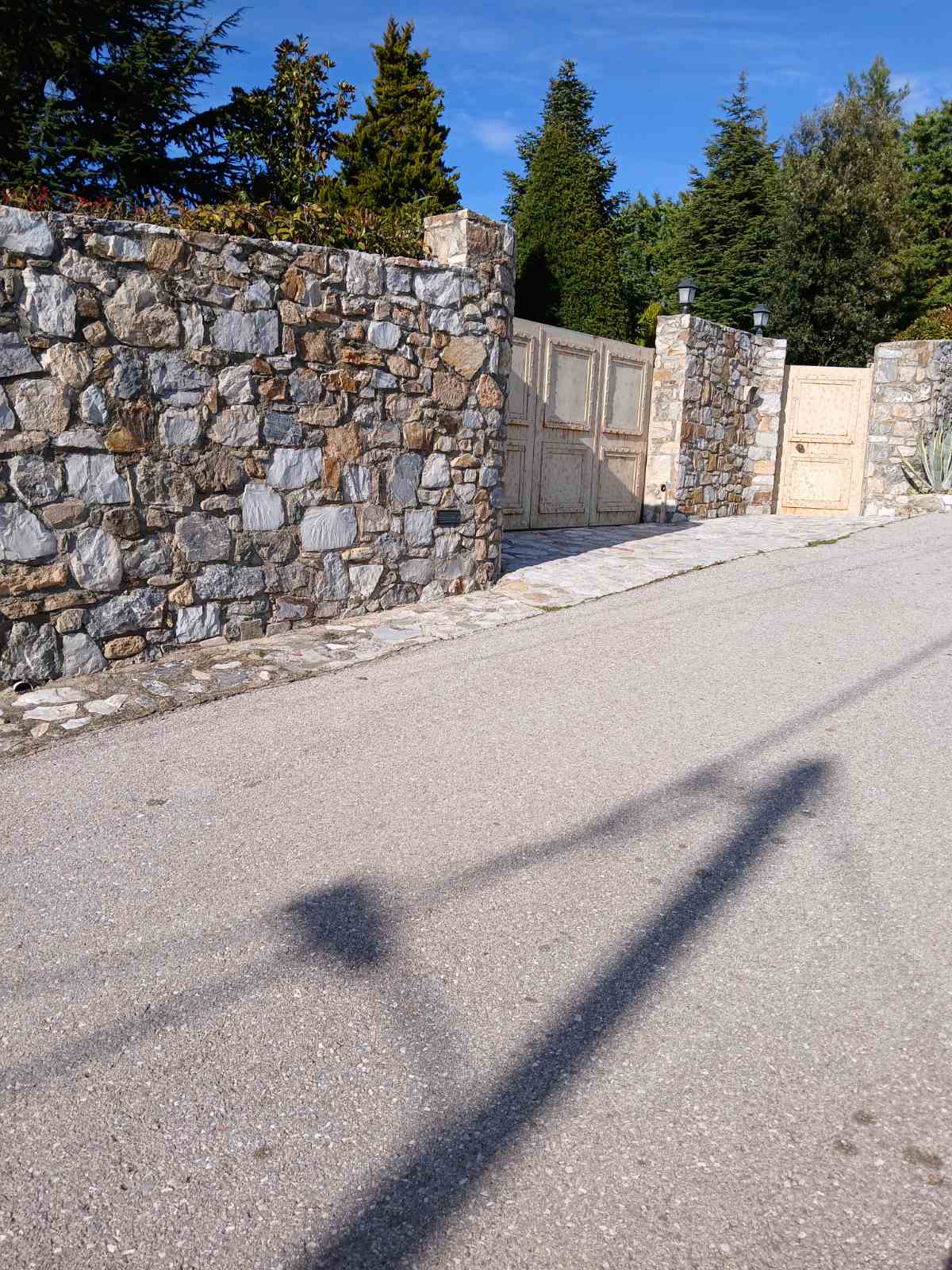 photo3