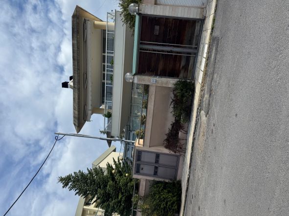 photo2