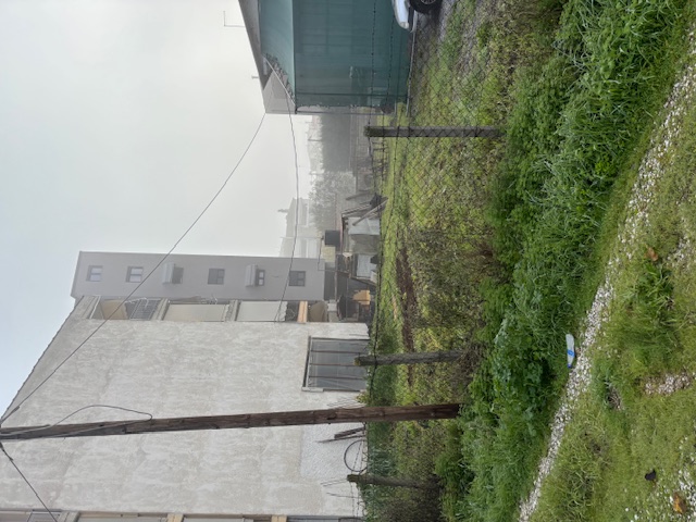 photo1