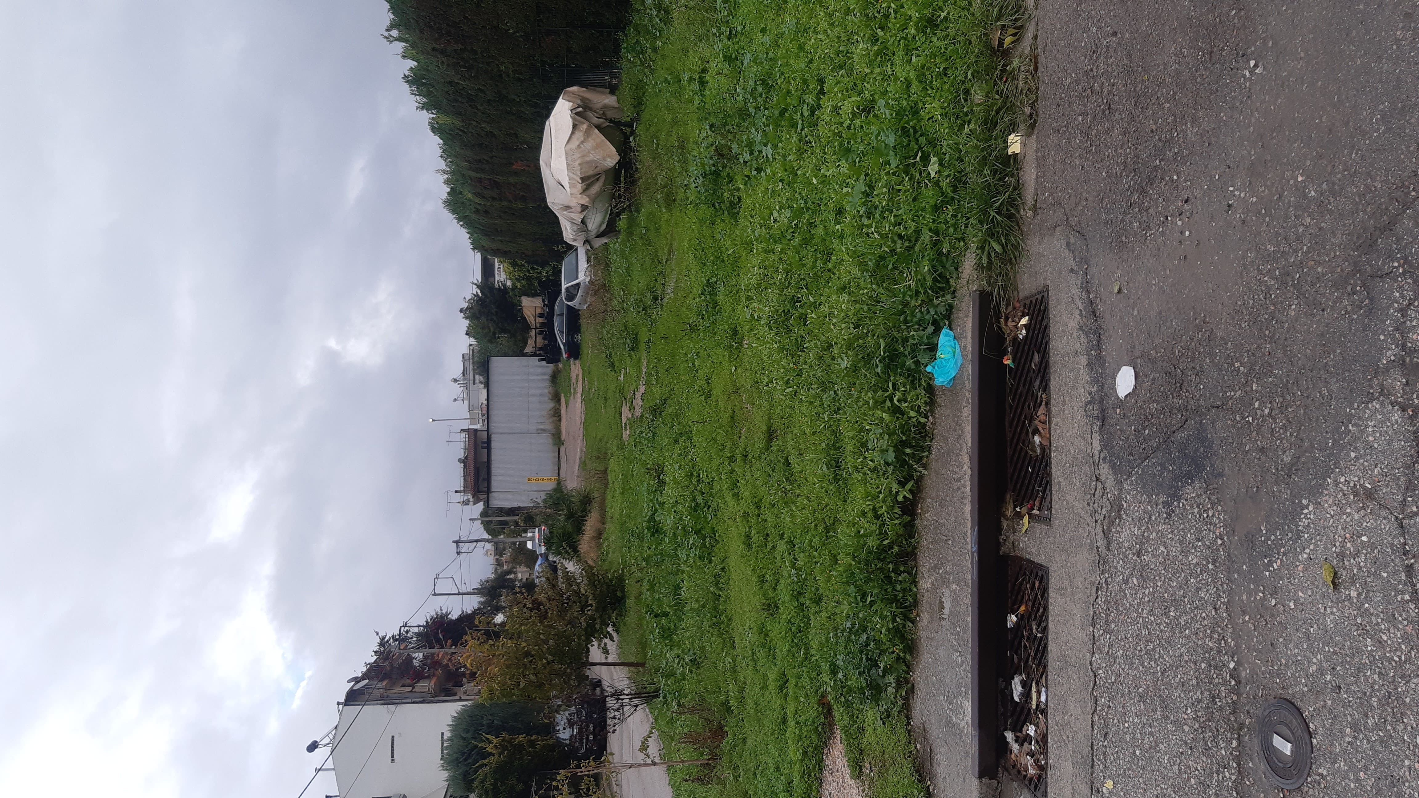 photo1