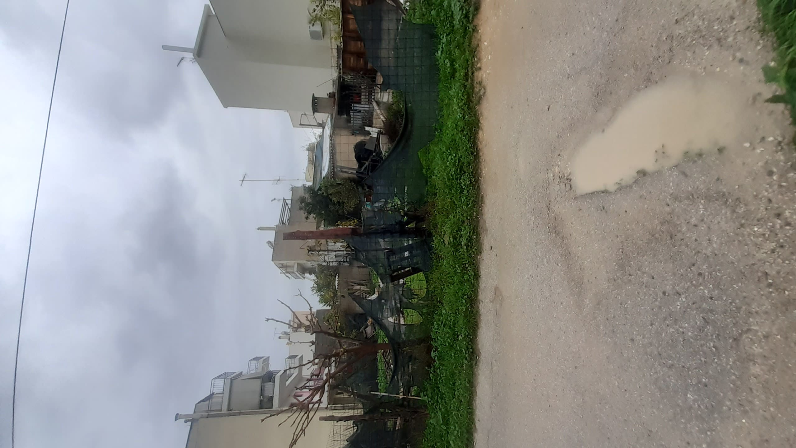 photo5