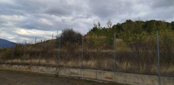 photo1