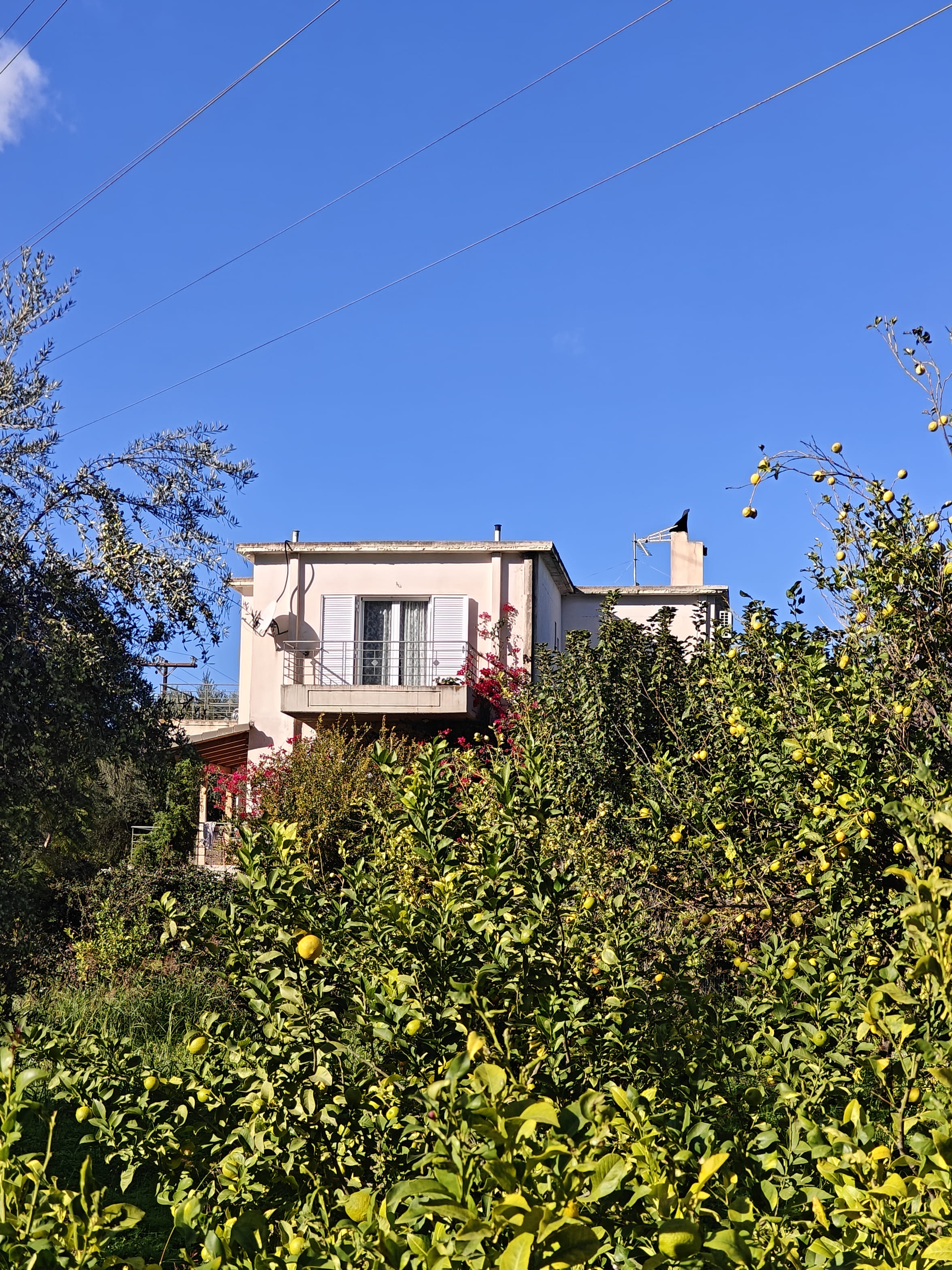 photo1