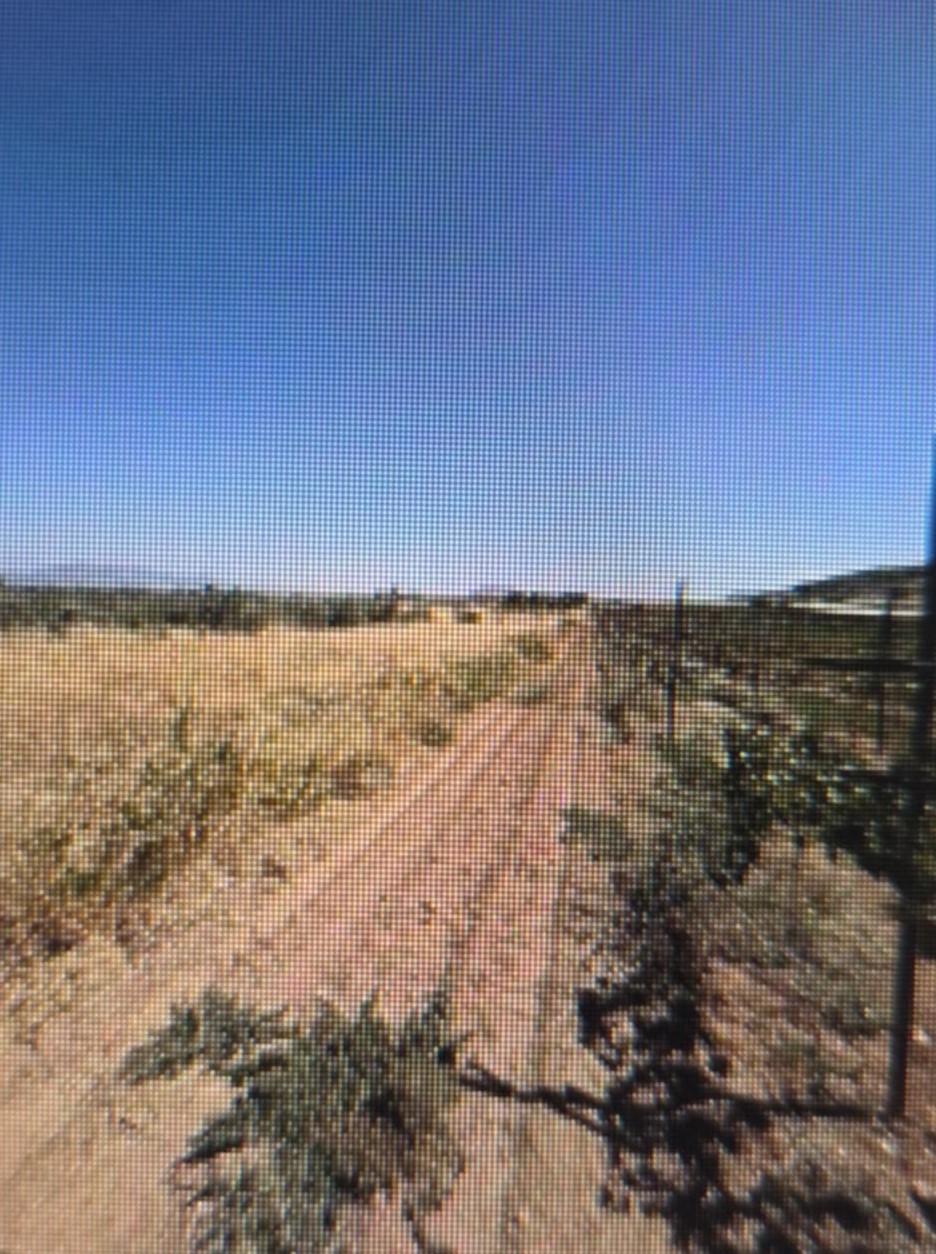 photo3