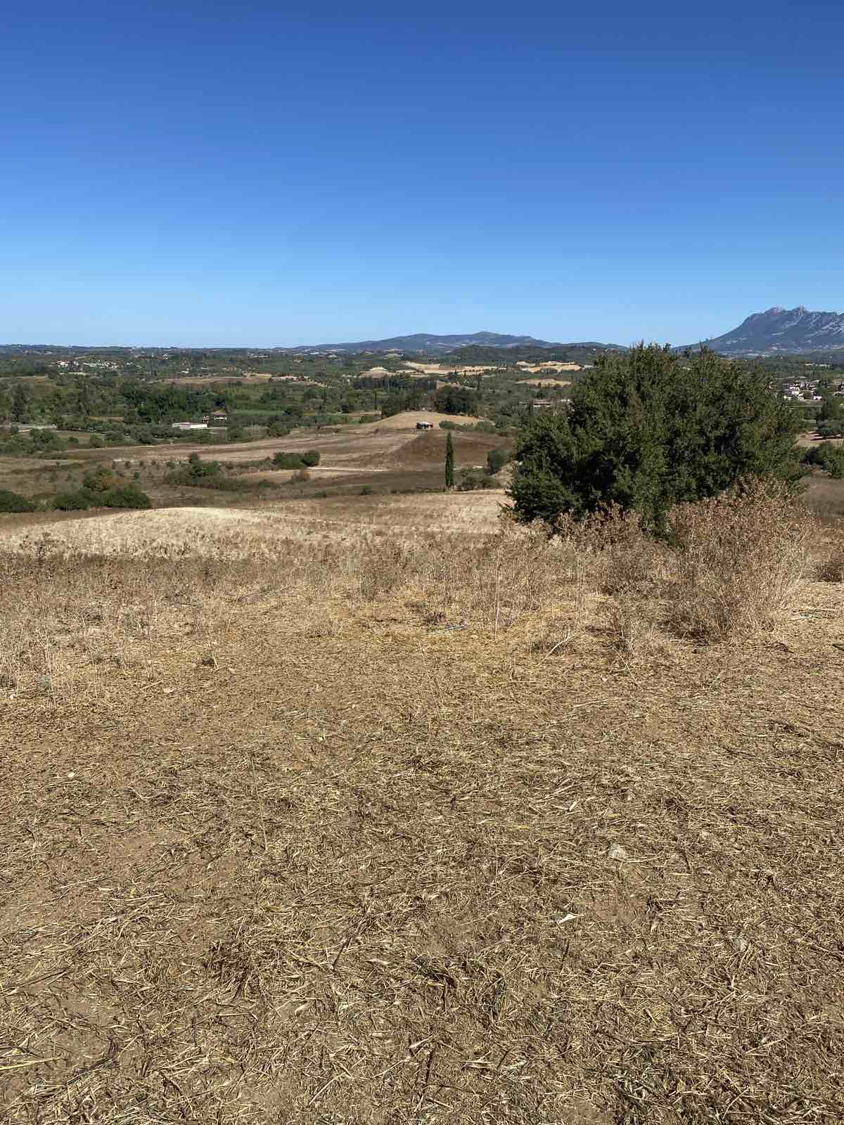 Αγροτεμάχιο  σε πλειστηριασμό Δήμος Πηνειού