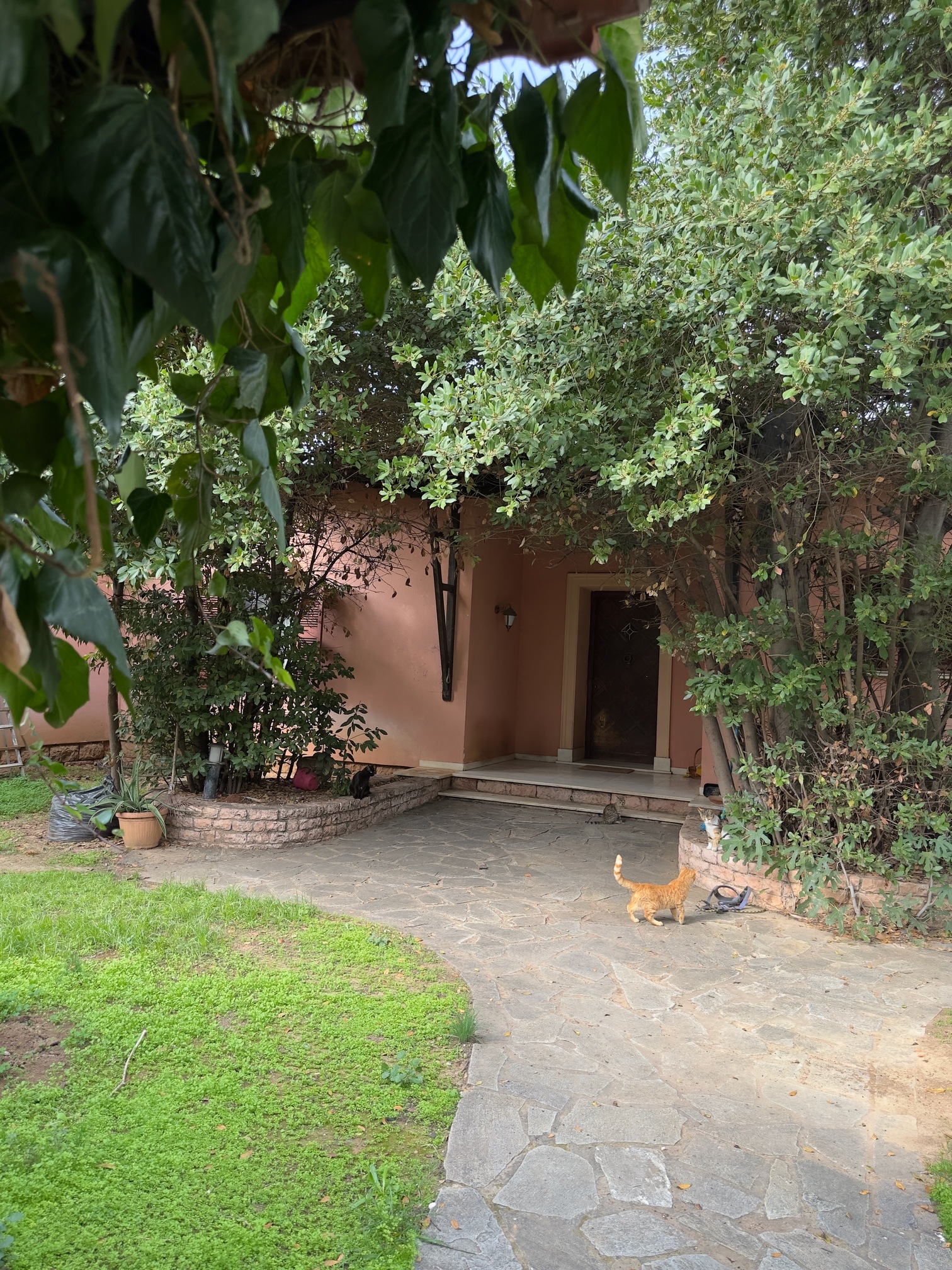 Κατοικία  σε πλειστηριασμό Municipality of Kifissia