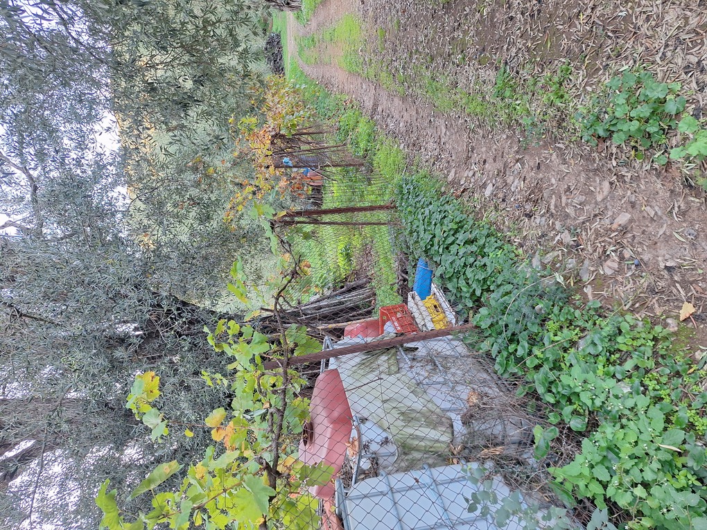 Αγροτεμάχιο  σε πλειστηριασμό Municipality of South Pelion