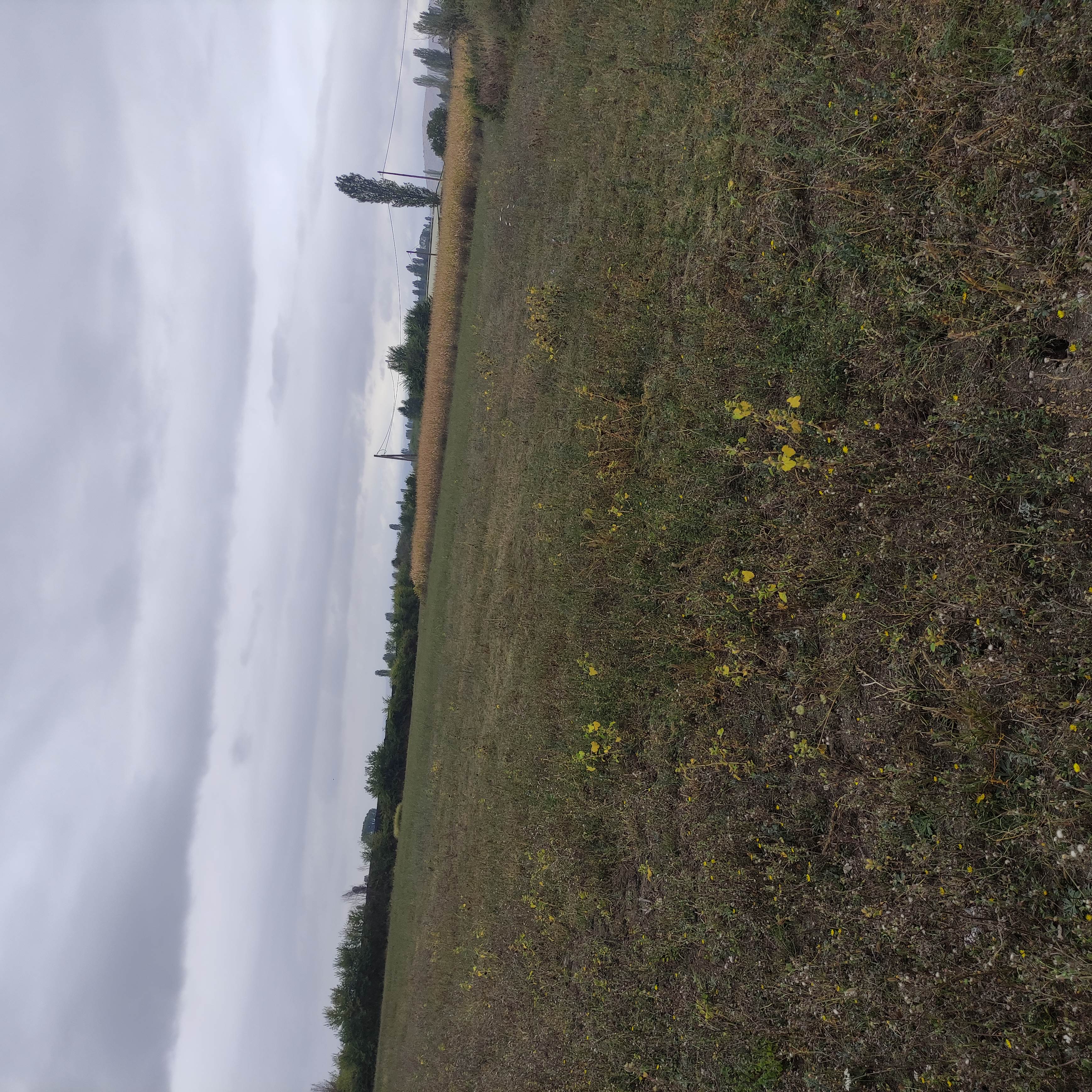 Αγροτεμάχιο 126 τ.μ. σε πλειστηριασμό Δήμος Καστοριάς