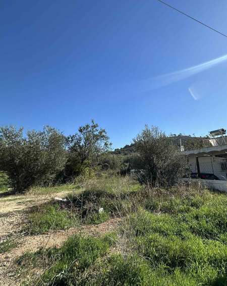 Οικόπεδο με κτίσμα  σε πλειστηριασμό Δήμος Φυλής