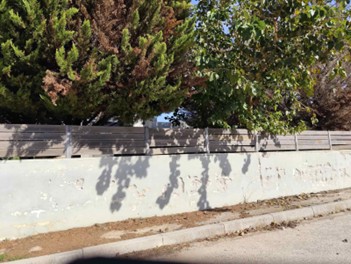 photo2